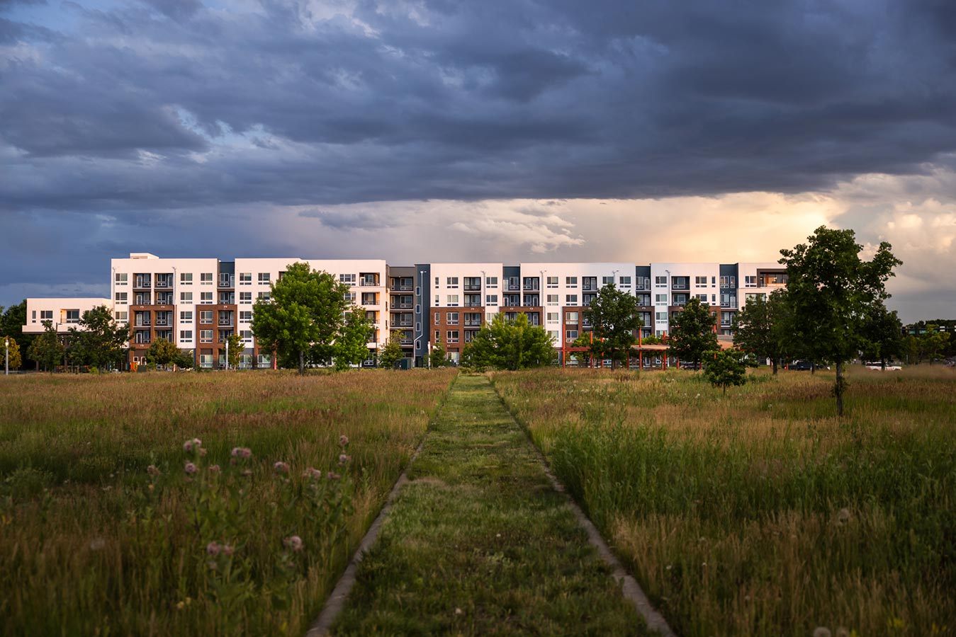 Rye Central Park exterior view from grass